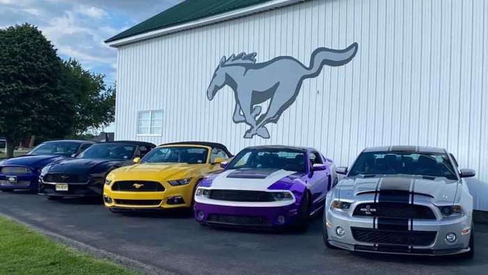 Mustang tribute at Halderman Barn Museum