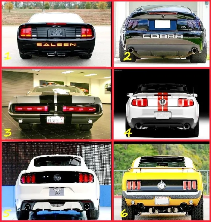 Mustangs