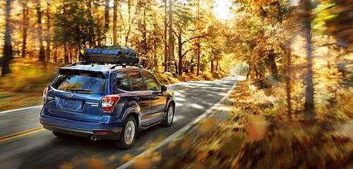 2014 Subaru Forester dynamic brochure