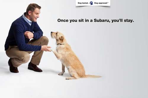 Subaru and The Center for Pet Safety