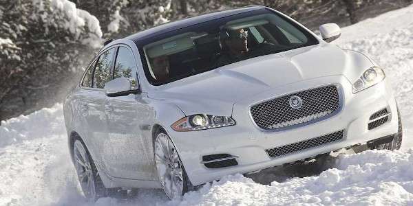 Jaguar driving in the snow