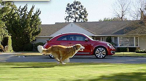 BOLT THE DOG CHASING THE ALL-NEW VW BEETLE IN THE 2012 GAME DAY AD. (PRNewsFoto/