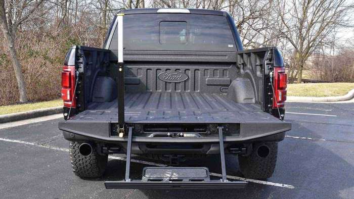 Ford F-150 tailgate step