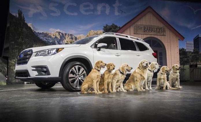 2019 Subaru Ascent 3-Row Crossover, New Subaru SUV, Animal Planet Puppy Bowl, Super Bowl ads