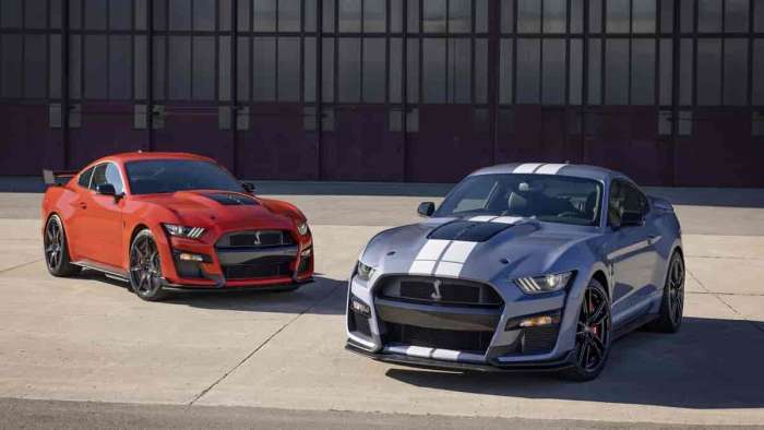 Ford Mustang GT and Shelby GT500 Lead Market Segment
