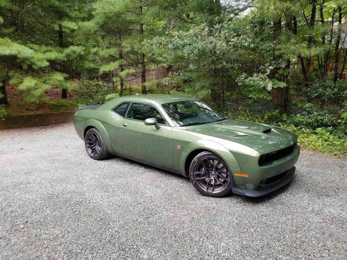 2019 Dodge Challenger R/T Scat Pack Widebody is special.