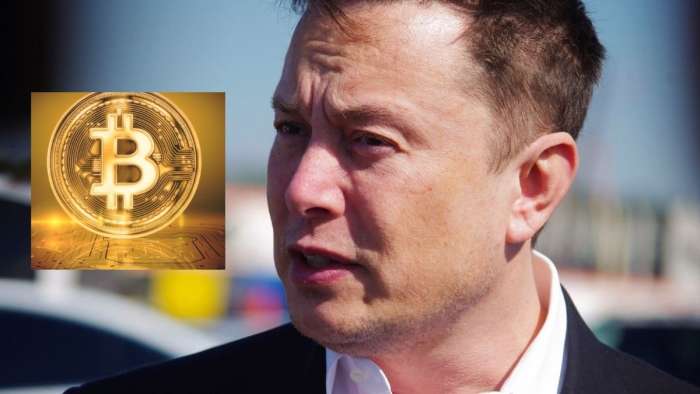 Elon Musk's Bitcoin Decision-Making