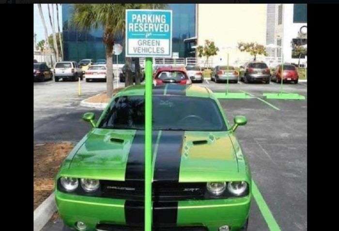 Green Dodge Challenger Parked in a green place