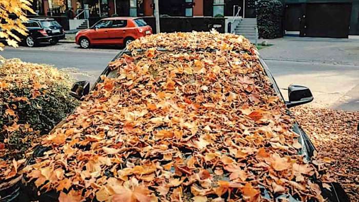 Fall Car Maintenance Recommendation to Avoid Water Damage