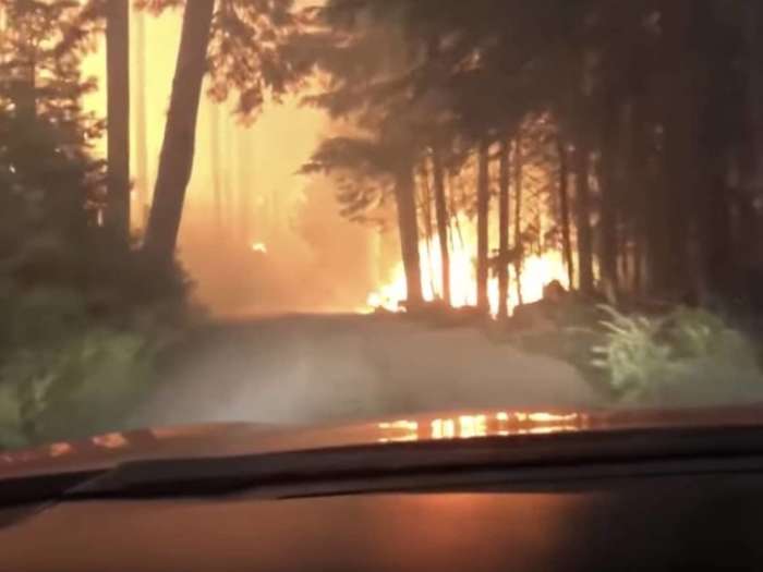 2019 Subaru Legacy, son and father drive through flames to escape forest fire