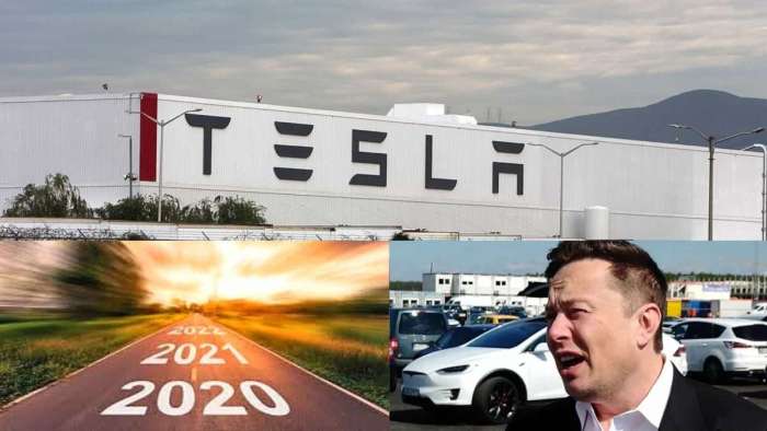 Tesla, Elon Musk and 2020-2021 Performance