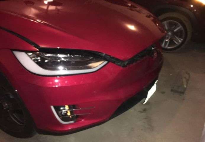 Tesla Model X Hit By a Deer