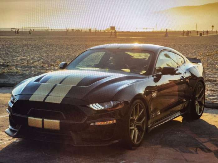 2019 Ford Mustang  Shelby GT