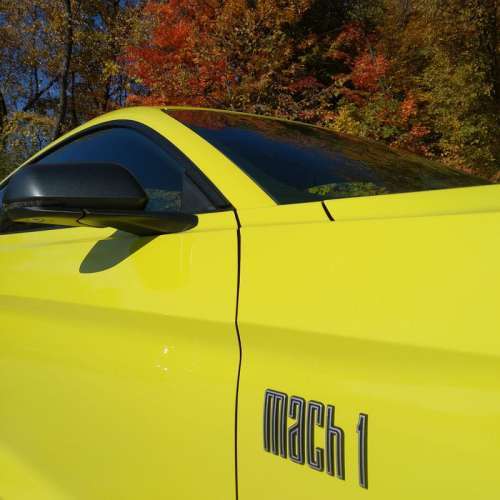 Mustang Mach 1 grille