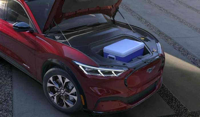 Red Ford Mustang Mach E