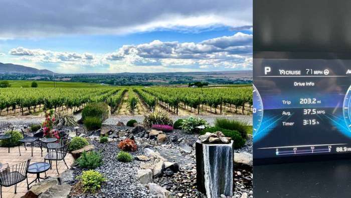 Malbec vineyards and MPG figures