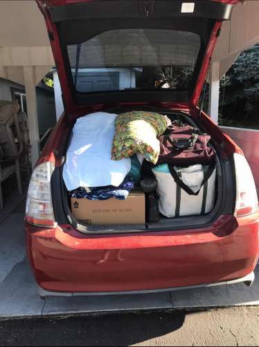 what have you hauled in your Toyota Prius?