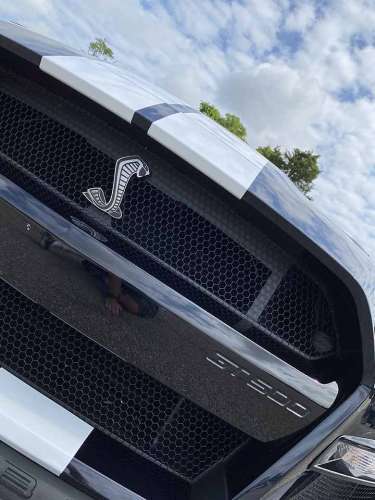 2021 Ford Shelby GT500 Grille