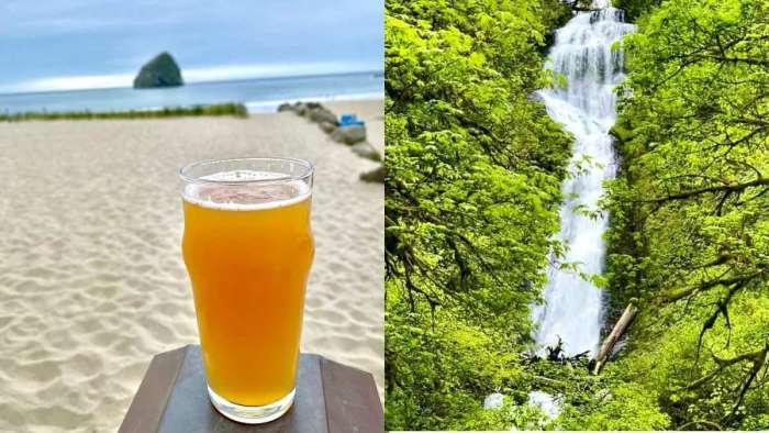 Beer on the Beach at Pacific City and Munson Creek Falls
