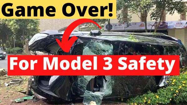 Tesla Model 3 Knocks Down a Tree! Everyone Walk Away Unharmed
