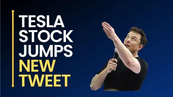 Tesla Stock Jumps as Elon Musk Hires Twitter CEO, Allowing More Focus on Product Development