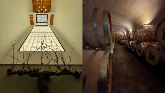 Images of wine barrels and dead grape vines at WA state wineries