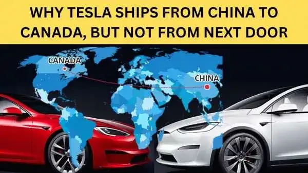 Why Did Tesla Import Model Y Long Range From China With Lower Range?