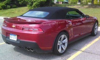 The rear end of the 2014 Chevrolet Camaro ZL1 Convertible in the wild