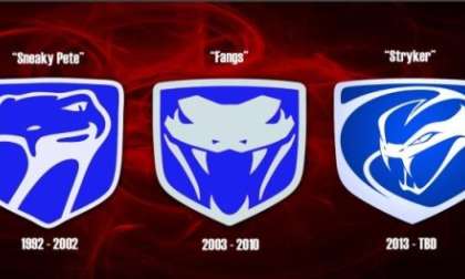 The history of the Viper logo