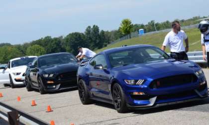 GT350R mustangs lined up