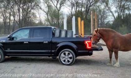 F150 Limited with Maximus