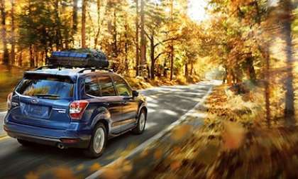 2014 Subaru Forester dynamic brochure