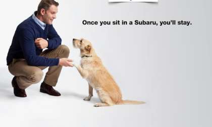 Subaru and The Center for Pet Safety