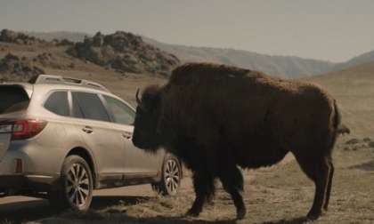 These 3 unique features make the 2015 Subaru Outback rugged like a Bison 
