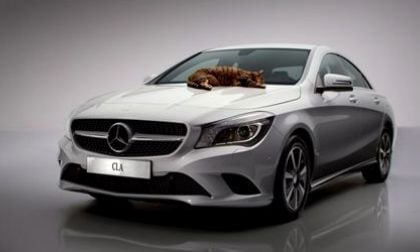 No cats were harmed during the making of this Mercedes-CLA-Class video
