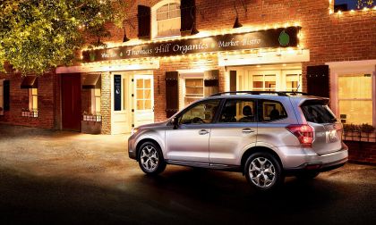 4 essentials pilot Subaru Forester to unbelievable heights