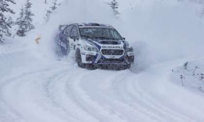 2017 Subaru WRX STI, Big White Rally