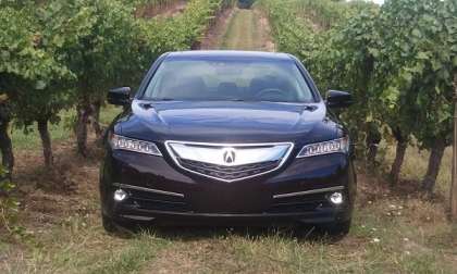 2016_Acura_TLX_Advance_Parks_McCants