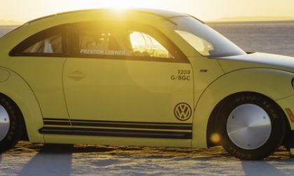 Beetle Has World Record Speed Run of 206 mph