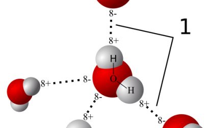 A 3-D model of hydrogen bonds in water. Image courtesy Commons Creative 3.0