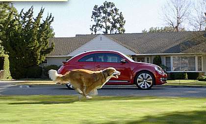 BOLT THE DOG CHASING THE ALL-NEW VW BEETLE IN THE 2012 GAME DAY AD. (PRNewsFoto/