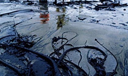 An oil-soaked beach from Wikimedia Commons. Image is public domain. 