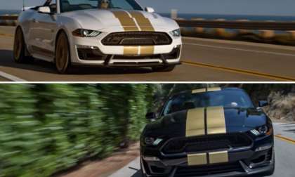 2019 Ford Mustang Shelby GT Pair