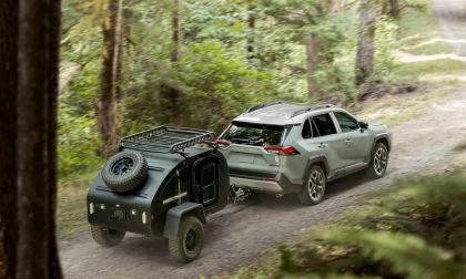 2019 RAV4 in a Forest Driving