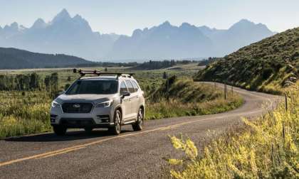 2019 Subaru Ascent, New Subaru SUV, 3-Row SUV, eBird app, bird watching