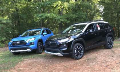 Two 2019 Toyota RAV4 Cars: Blue and Black