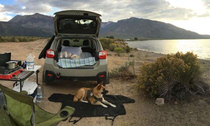 2021 Subaru Forester, 2021 Subaru Crosstrek, 2021 Subaru Outback