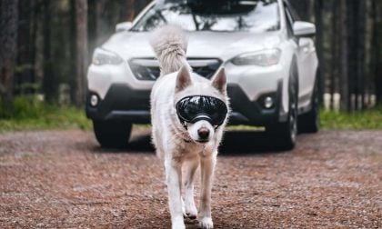 2022 Subaru Crosstrek features, upgrades, specs, pricing