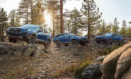 2024 Subaru Wilderness models