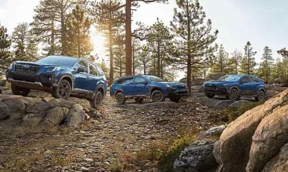 2024 Subaru Wilderness